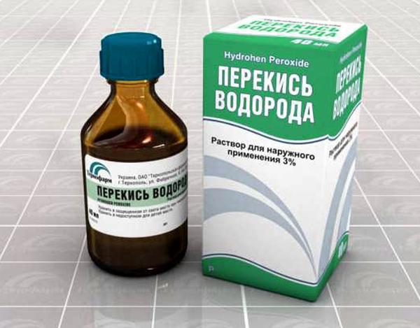 Выращиваем рассаду баклажанов из семян: секреты дачников