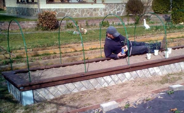 Высокая теплая грядка с фундаментом из тротуарной плитки пошагово. Фото и видео