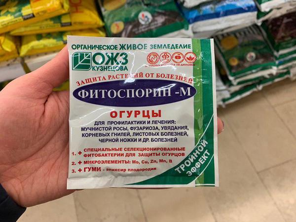 Предпосевная обработка семян: 8 лучших препаратов для обработки