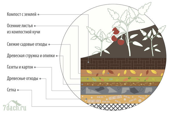 Как сделать теплые грядки в теплице