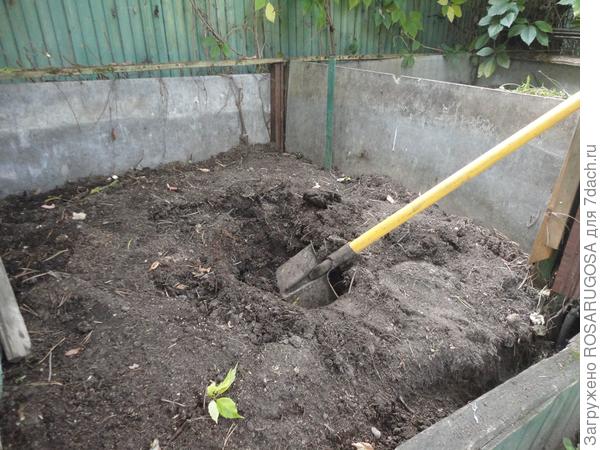 Высокие грядки на даче: идеи с выставок и примеры из реальной жизни
