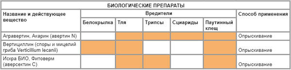 Здоровая рассада: как укрепить, чем обработать от черной ножки и вредителей
