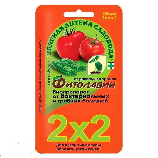 Предпосевная обработка семян: 8 лучших препаратов для обработки