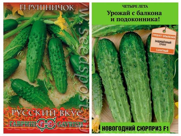 Пока до весны далеко: 10 сортов огурца для выращивания на подоконнике