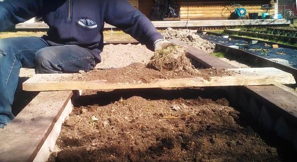 Высокая теплая грядка с фундаментом из тротуарной плитки пошагово. Фото и видео