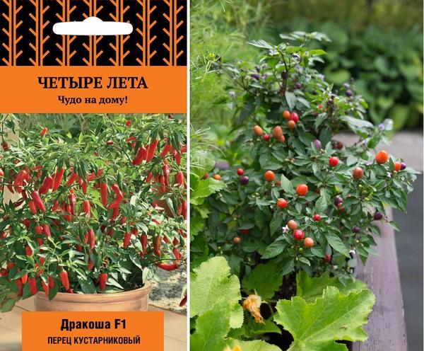 Какие овощи можно вырастить на подоконнике
