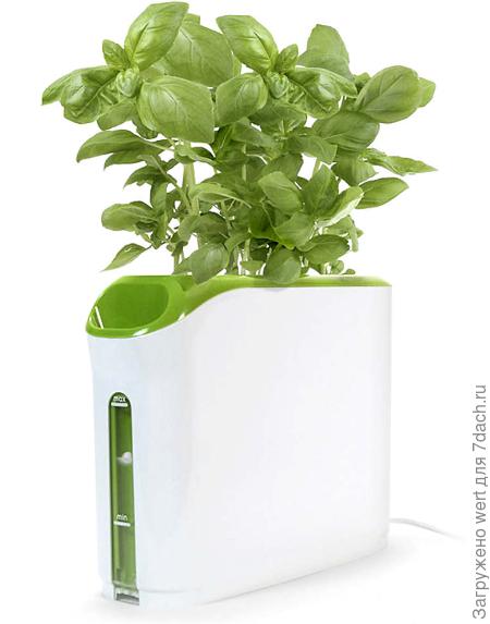 Умные горшки для домашнего огорода: Click and Grow, AeroGarden, AquaFarm и другие