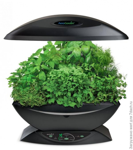 Умные горшки для домашнего огорода: Click and Grow, AeroGarden, AquaFarm и другие