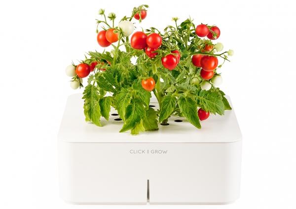 Умные горшки для домашнего огорода: Click and Grow, AeroGarden, AquaFarm и другие