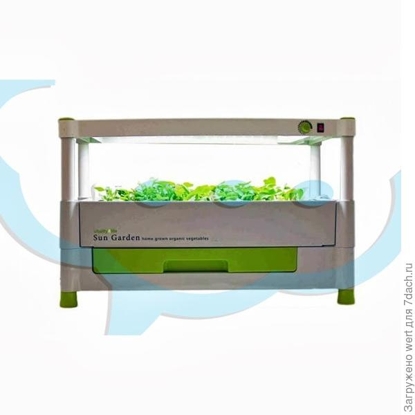 Умные горшки для домашнего огорода: Click and Grow, AeroGarden, AquaFarm и другие