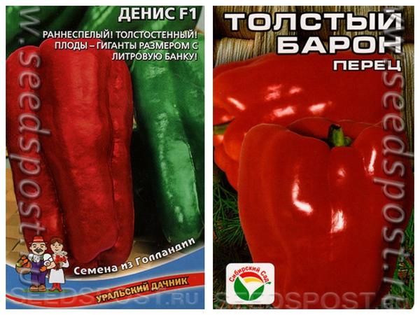 Перцы-гиганты: сорта перца с самыми крупными плодами
