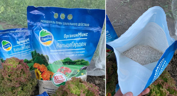 Как укрыть клематисы на зиму. Практичные и доступные способы