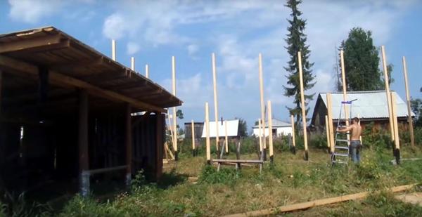 Зеленый лук в теплице на продажу: доходы и расходы
