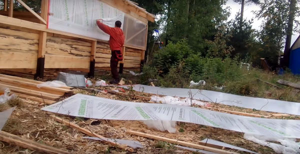 Зеленый лук в теплице на продажу: доходы и расходы