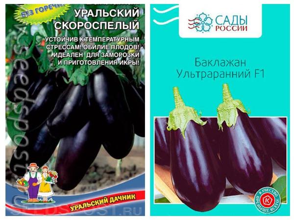 Выбираем семена баклажанов. Топ-10 раннеспелых сортов