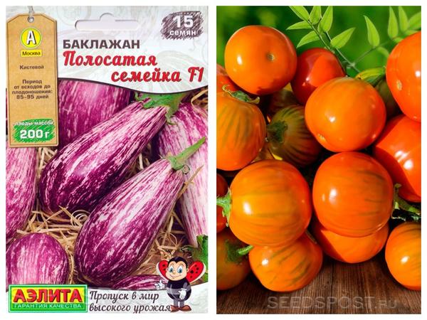 Выбираем семена баклажанов. Топ-10 раннеспелых сортов
