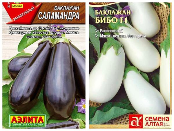 Выбираем семена баклажанов. Топ-10 раннеспелых сортов