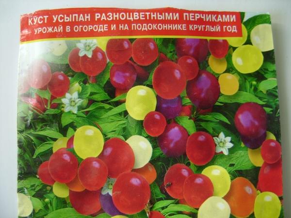 Советы бывалых дачников: выращивание рассады перца
