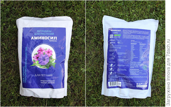 Шикарные петунии за один месяц — от черенка до пышного цветущего куста