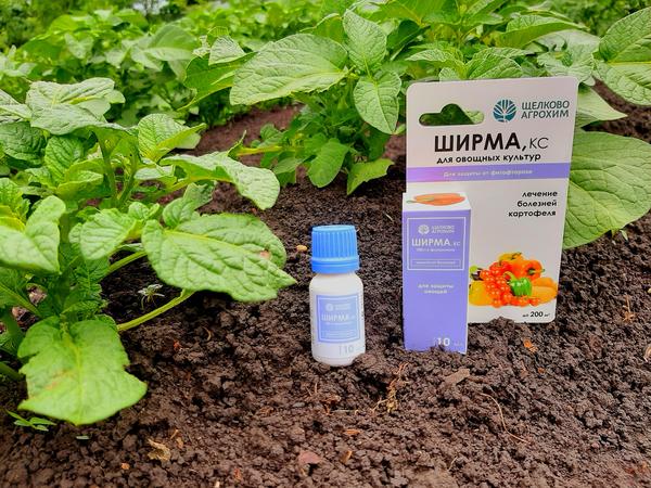Препарат "Ширма" от фитофтороза: инструкция по применению