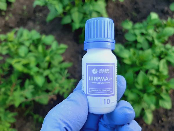 Препарат "Ширма" от фитофтороза: инструкция по применению