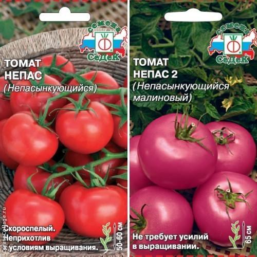 Выращивание томатов в грядах-коробах. Советы