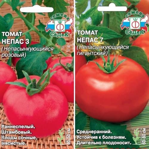 Выращивание томатов в грядах-коробах. Советы