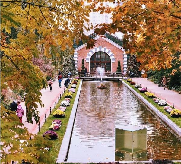 Марафон "Огород круглый год" в Instagram: участники